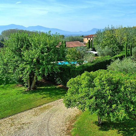 Villa Fiamma By Posarellivillas Piaggiori Dış mekan fotoğraf